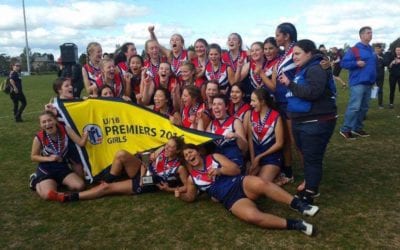 Mini-falcs PREMIERS in 2016