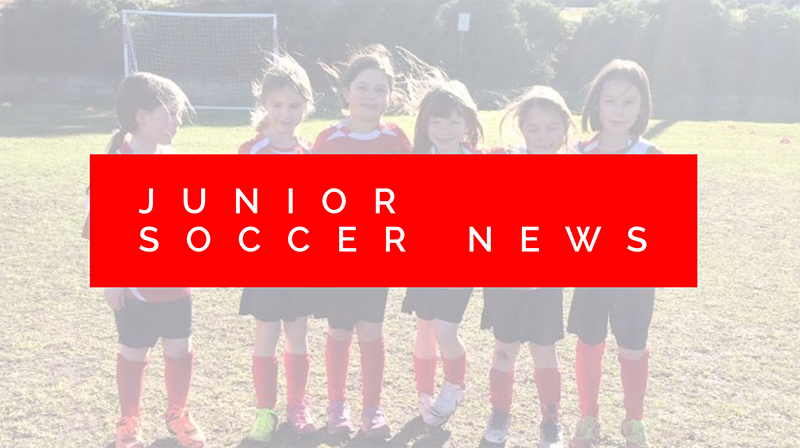 Junior Soccer Update – April 2017