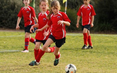 Chapter 9 – From little things big things grow: the development of the Falcons junior soccer program