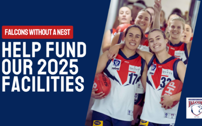 2025 VFLW Program