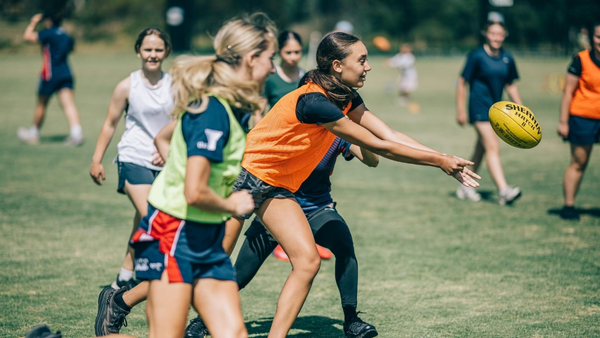 Falcons Academy - handball Logo image - Sponsor - Sequana