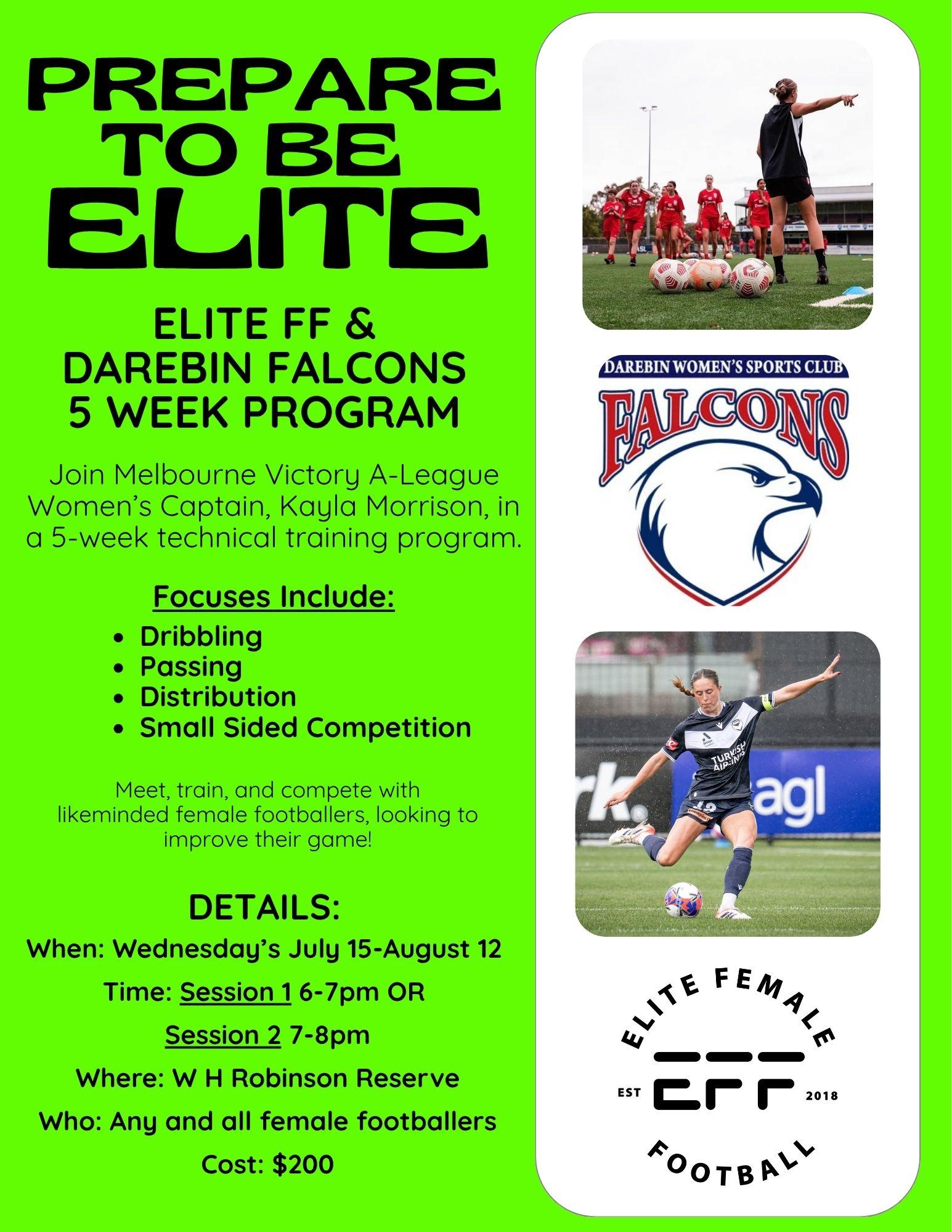 Darebin Falcons Elite Skills Program - July/August 2026 - Image 2